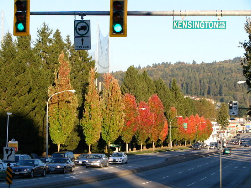 Hastings Street in Burnaby with autumn trees and traffic lights