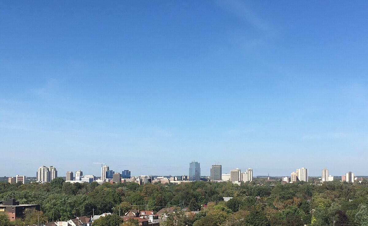 Downtown London, Ontario skyline rising above a canopy of green trees under a clear blue sky