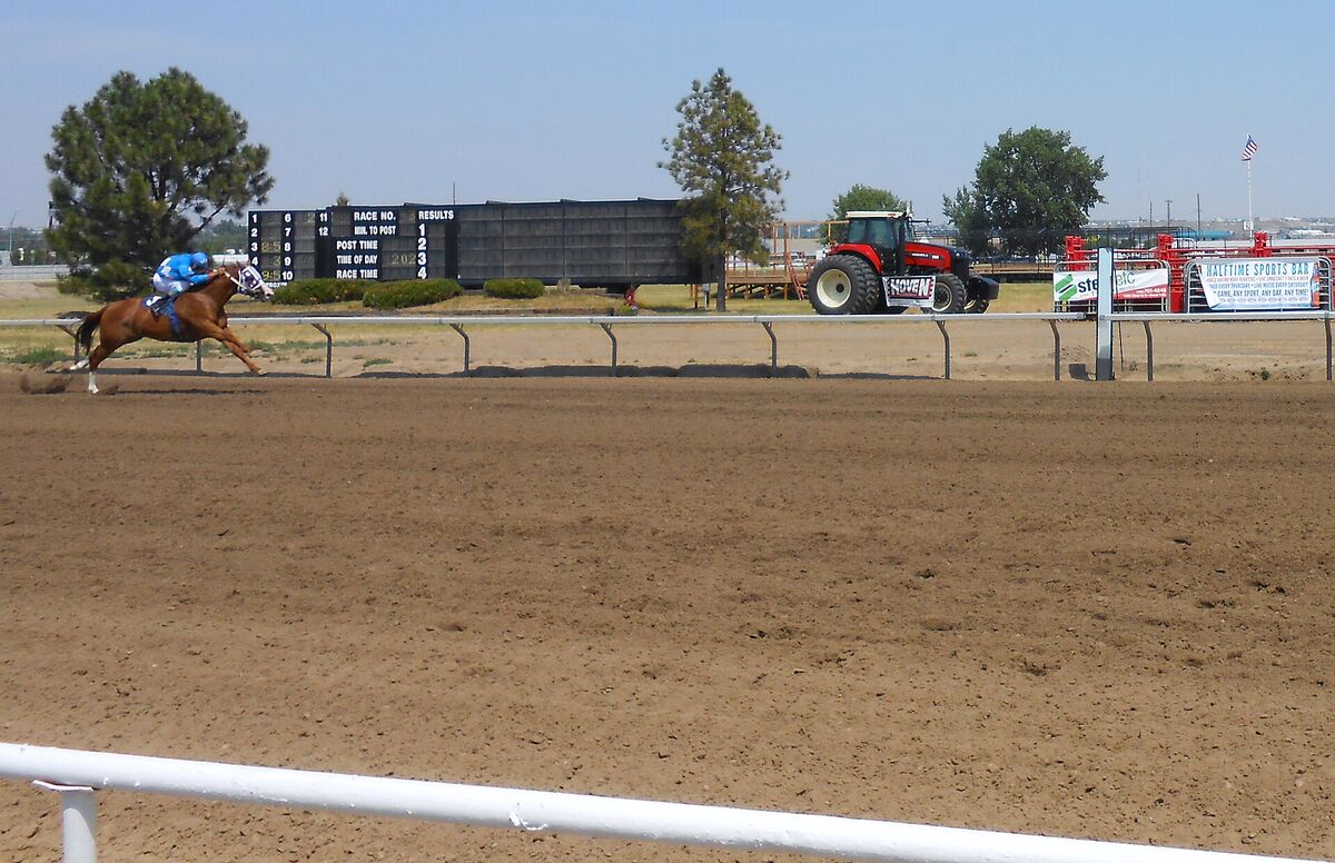 A jockey in blue silks rides a quarter horse toward the finish on a dirt track