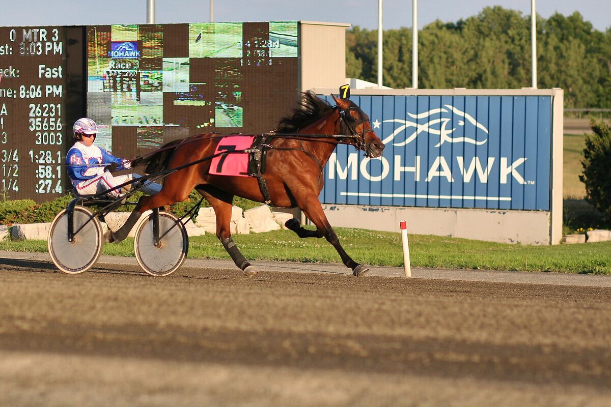 A harness racing horse and driver in a sulky on an Ontario racetrack