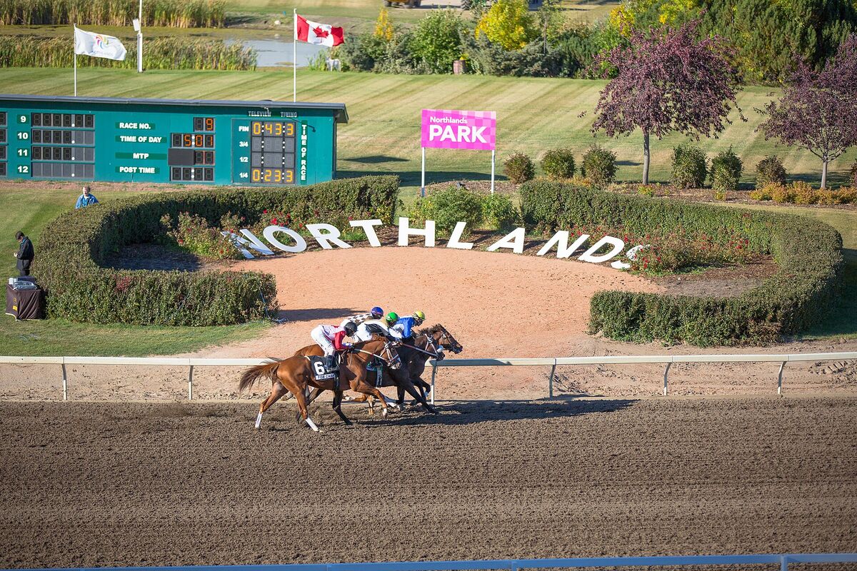 Thoroughbreds racing past the Northlands sign on the infield at Northlands Park